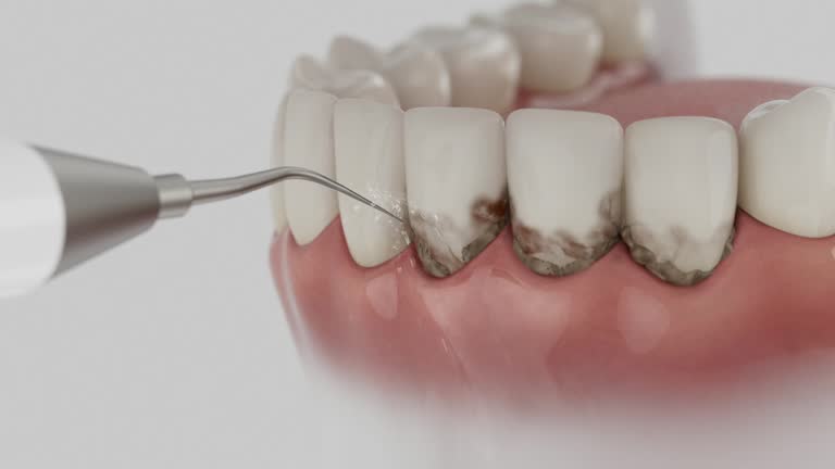 Reliable Dental contractor in Lebanon, VA by Dentist Open Now